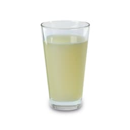 Whey Protein Powder-VITALIMED EvoForte Lime