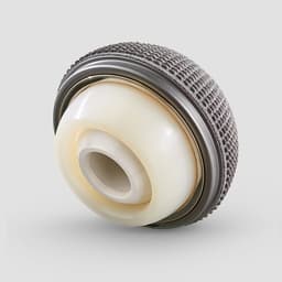 Plasmafit® Dual Mobility-Product Picture CW Enlargement